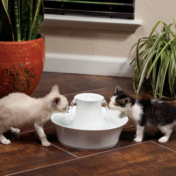 Drinkwell® Avalon Ceramic Pet Fountain, 2 L, for Dogs and Cats