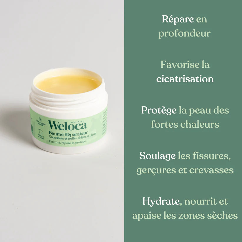 Natural repair balm for paw pads and nose