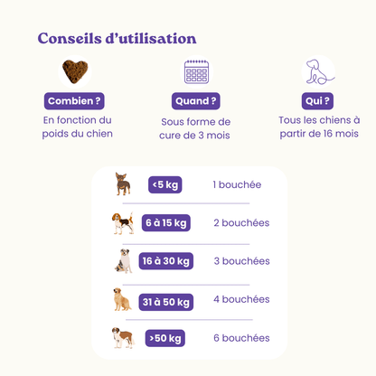 Anti-stress food supplement for dogs