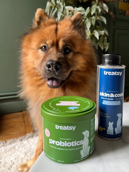 Chicken Probiotic Supplement for Dogs