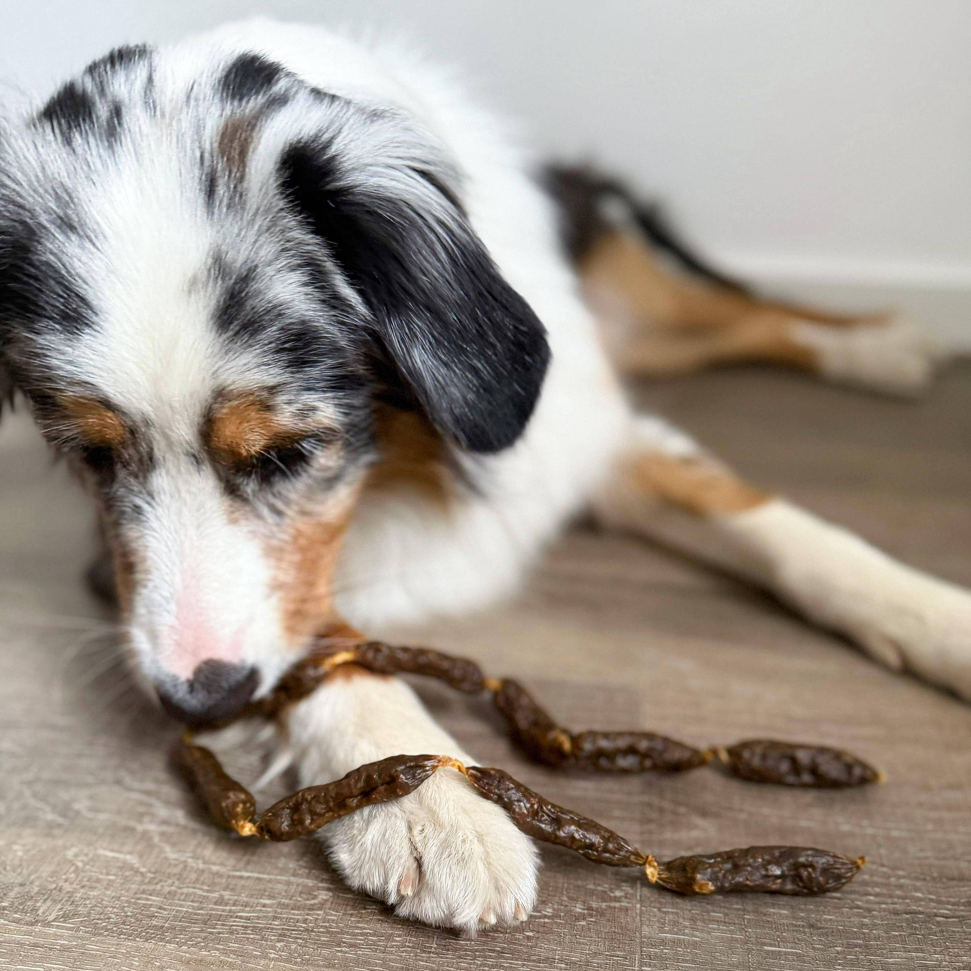 Dried beef sausages