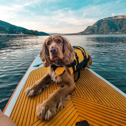 Dog life vest