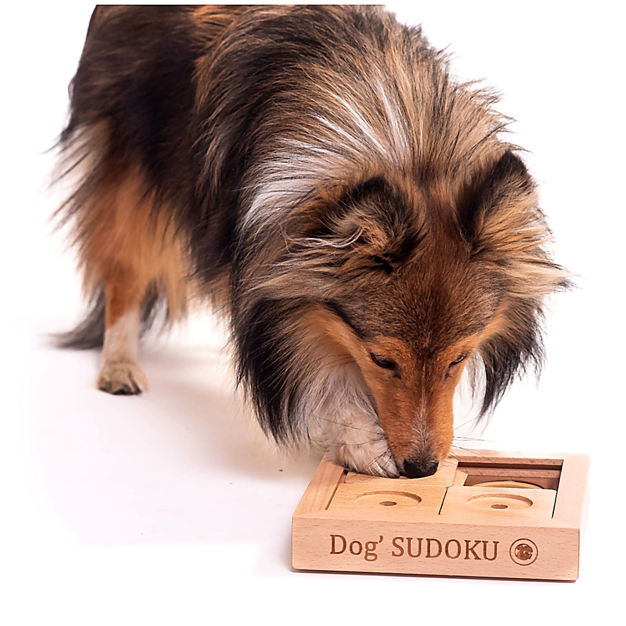 Small wooden Sudoku puzzle – beginner level
