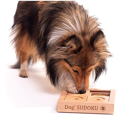 Small wooden Sudoku puzzle – beginner level
