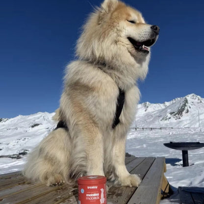 Mobility supplement for dogs