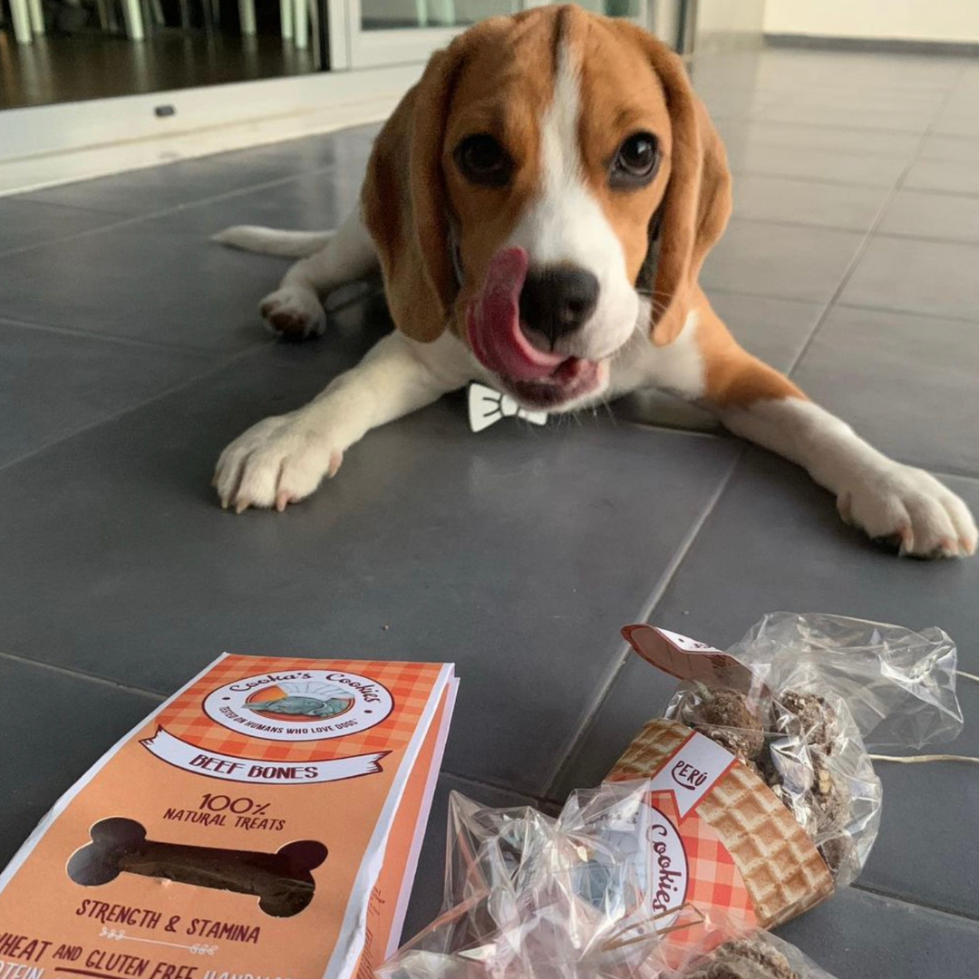 Beijinhos Turkey - Crunchy and natural turkey dog ​​treats