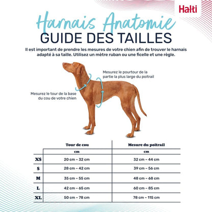 Harnais anatomique ajustable pour chiens