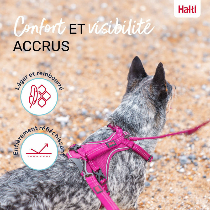 Harnais anatomique ajustable pour chiens