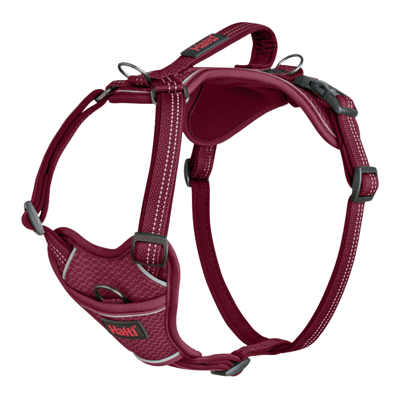 Harnais anatomique ajustable pour chiens