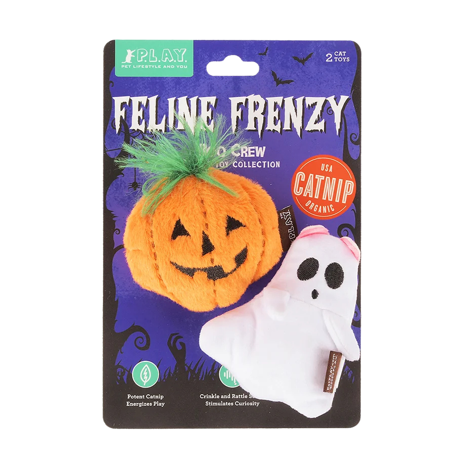 Lot de 2 jouets Halloween Boo Crew à la cataire pour chats