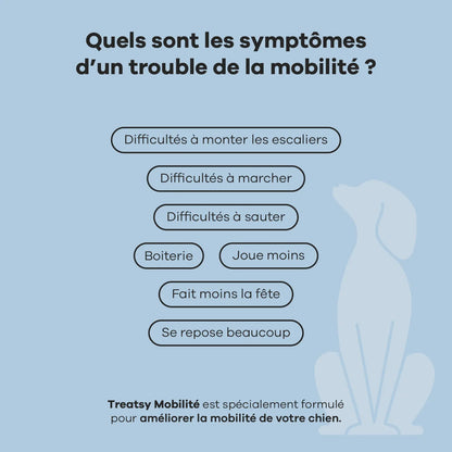 Mobility supplement for dogs