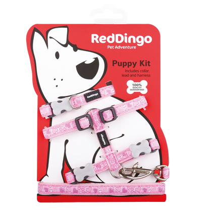 Breezy Love puppy collar, harness and leash set