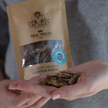 Dehydrated Atlantic anchovies