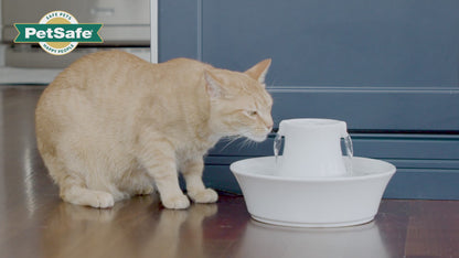 Drinkwell® Avalon Ceramic Pet Fountain, 2 L, for Dogs and Cats