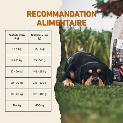 Angus Beef Croquettes for Adult Dogs