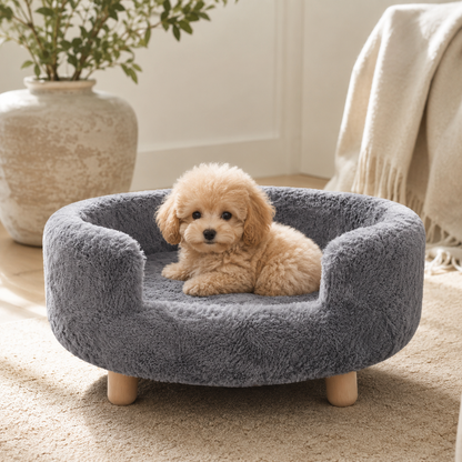 Dalvy Sofa for Cats and Small Dogs
