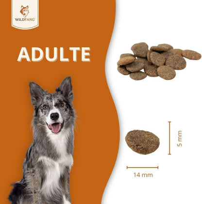 Angus Beef Croquettes for Adult Dogs