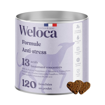 Anti-stress food supplement for dogs